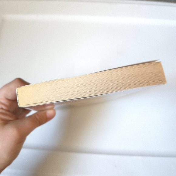 Scholastic The Silver Chair Book - Picture 6 of 7